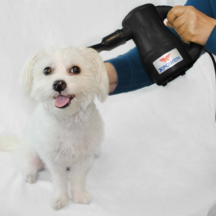 XPOWER AIRROW Multi-purpose Handheld Blower, Duster, Dryer and Pump