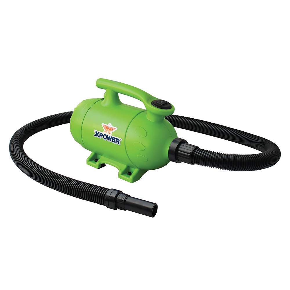 XPOWER B-2 Pro-at-Home Pet Dryer (GREEN)