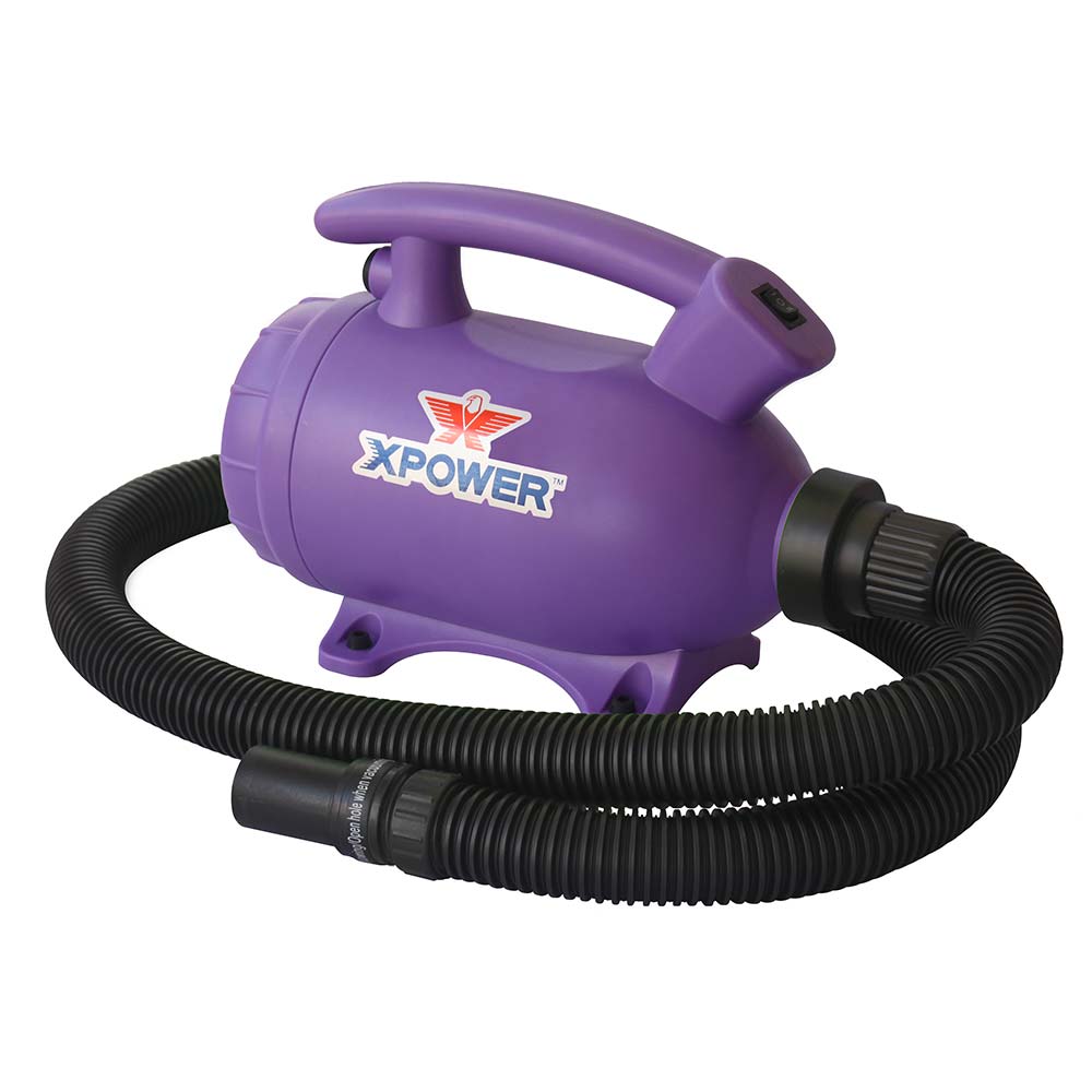 XPOWER B-55 2-in-1 Home Pet Dryer & Vacuum (PURPLE)