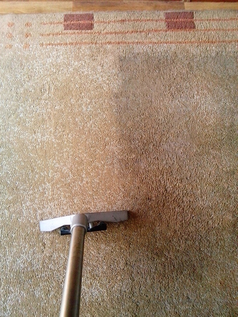 CUTLASS 30L Carpet Extraction machine w/Floor Wand & Upholstery Tool (Made in Italy)