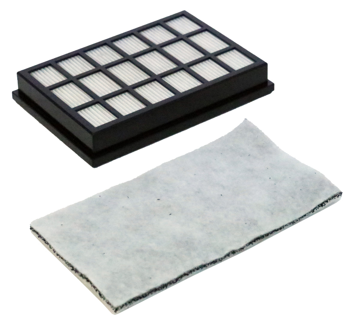 PROSTAR Battery Powered Backpack by Cleanstar