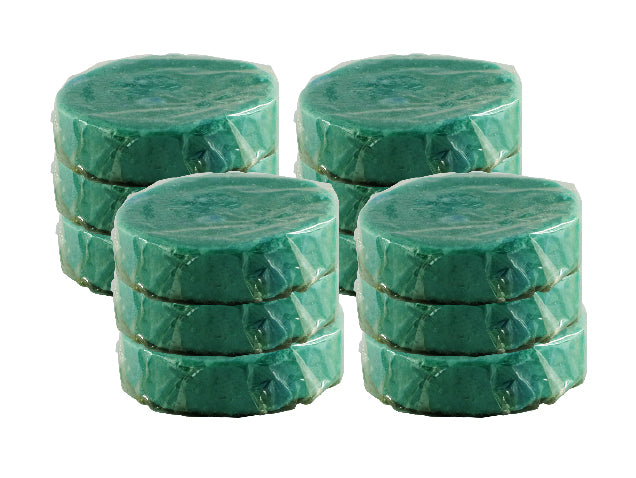 Large Urinal Blocks Non-Para- Citrus (12-pack)