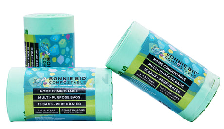 Cleaning with Purpose: How Cleanstar Champions Sustainability