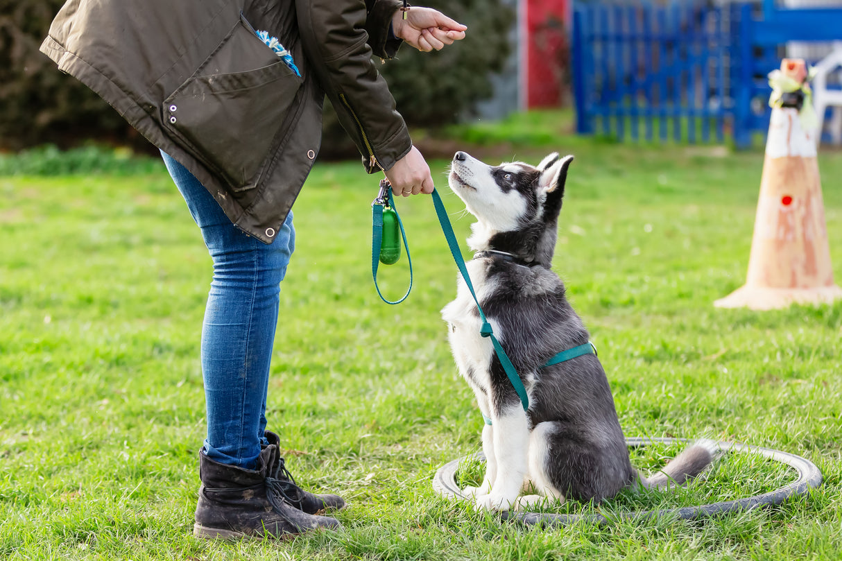 DOG POOP BAG DISPENSER - BONNIE BIO