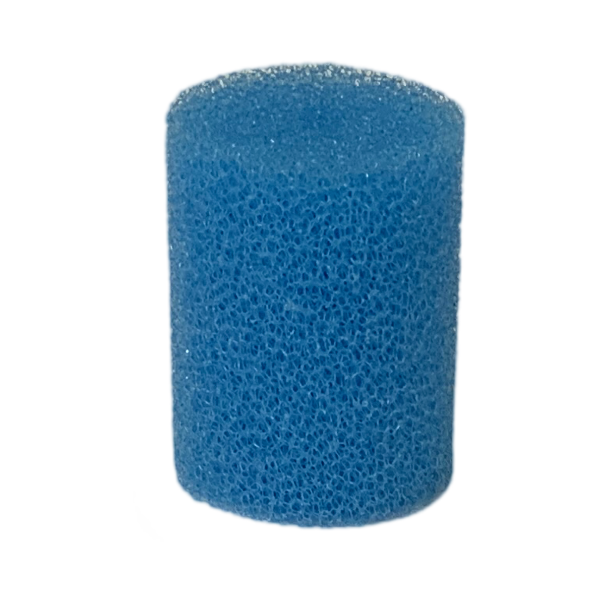 Foam Filter for P-50