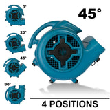 XPOWER X-800C Multipurpose Air Mover 1 HP